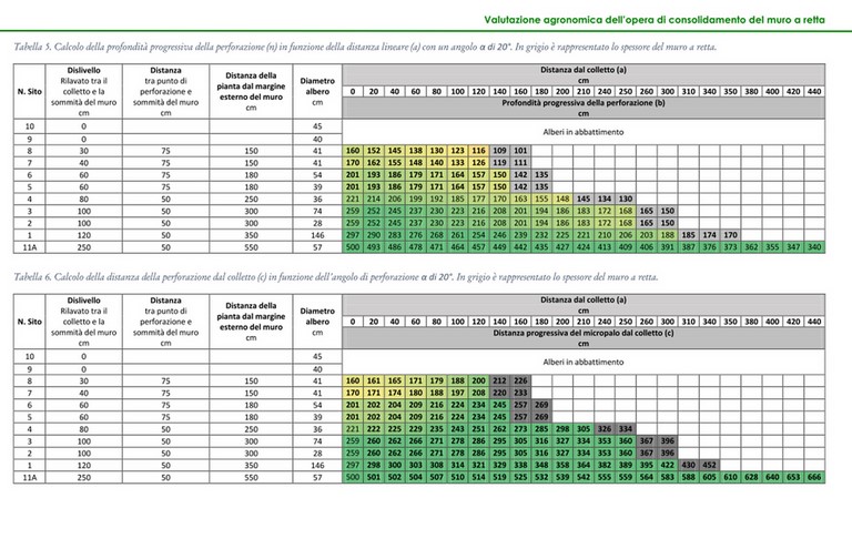 Analisi di fattibilità - Consolidamento muro