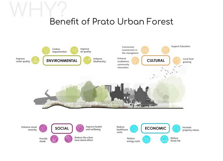 Urban Forest Prato
