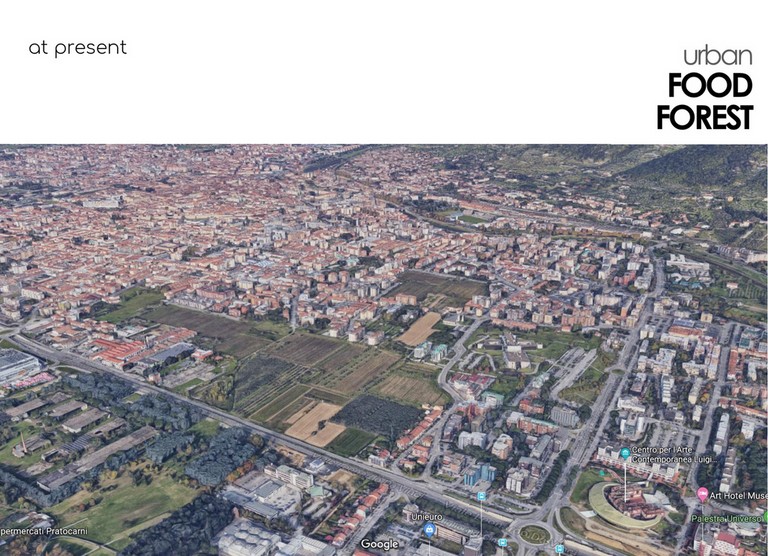 Urban Forest Prato