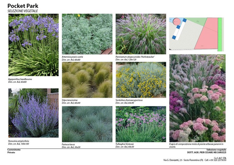 Pocket Park - selezione vegetale