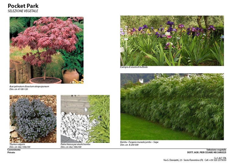 Pocket Park - selezione vegetale