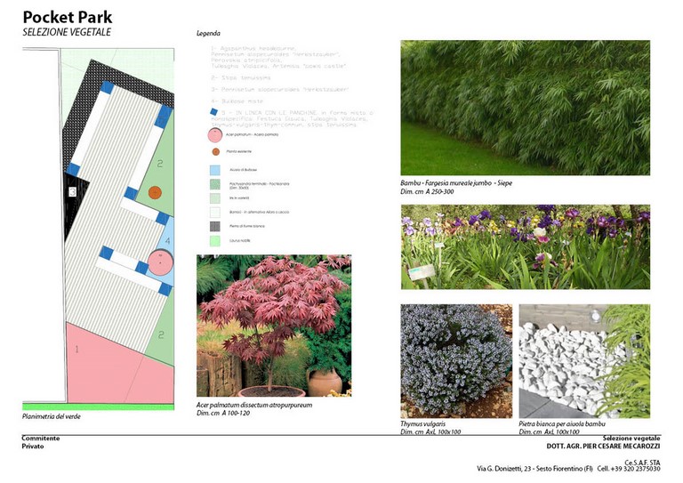 Pocket Park - selezione vegetale