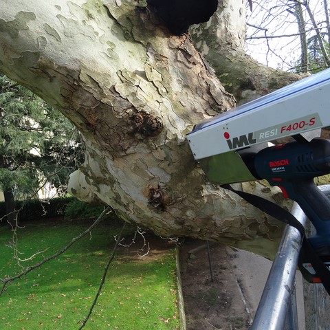 Analisi con Resistograph