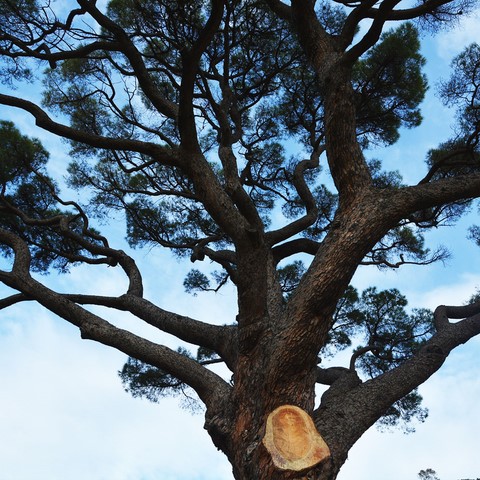 Valutazione di srtabilità